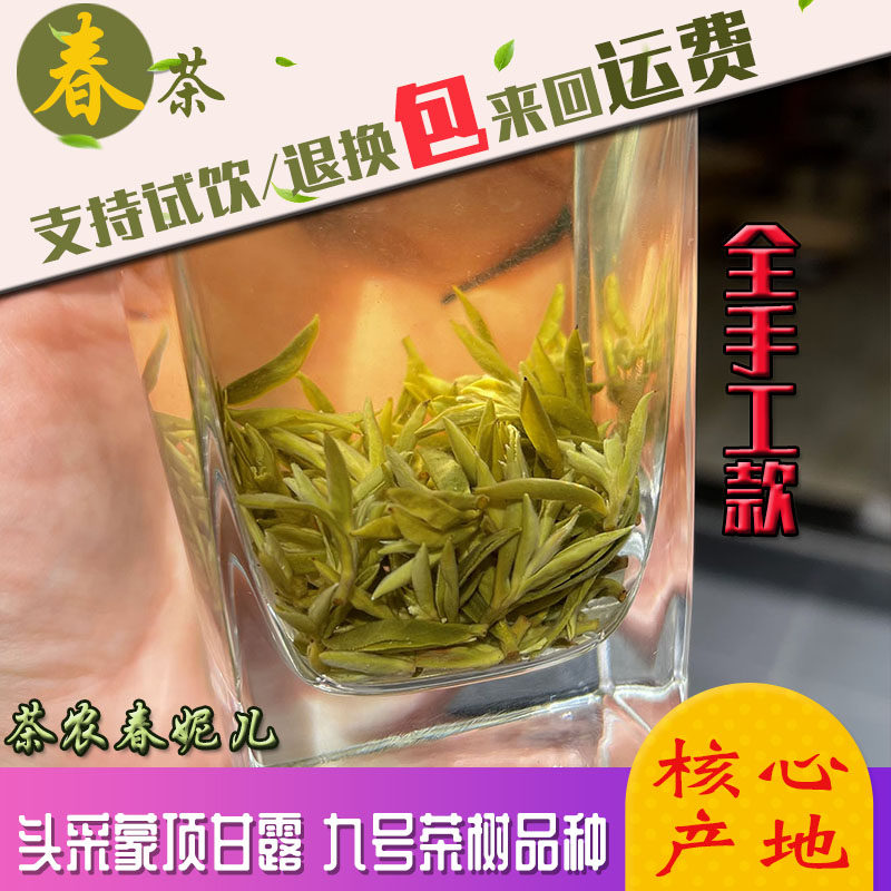 栗香蒙顶甘露2026年新茶全手工高端春绿茶雅安蒙顶茶九号茶树包邮