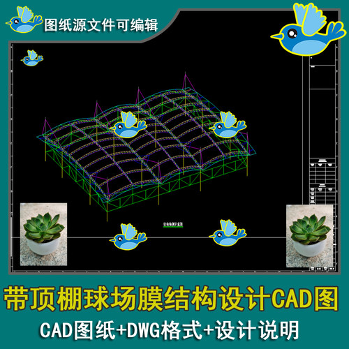 带顶棚球场图纸膜结构球场膜结构平、立、轴侧图节点CAD图