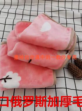 加厚毛毯蜜袋松鼠飞鼠保暖宠物用品 鹦鹉龙猫 貂绒布毯子被子窝垫
