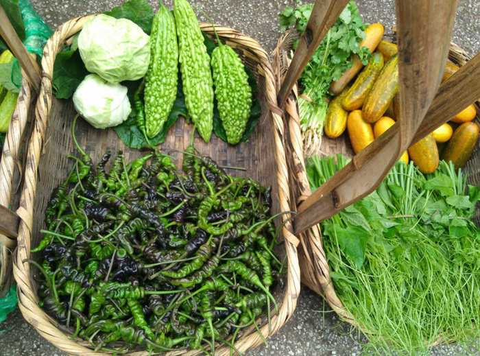 云南扭扭辣椒 螺丝辣椒子 农产品绿椒 鲜香薄皮辣椒 产地直销辣椒