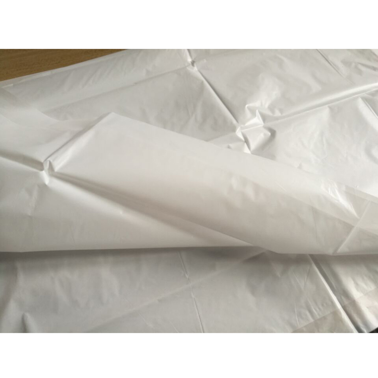 一次性桌布防水送餐外卖台布单独包装1张独立小包装塑料户外餐垫