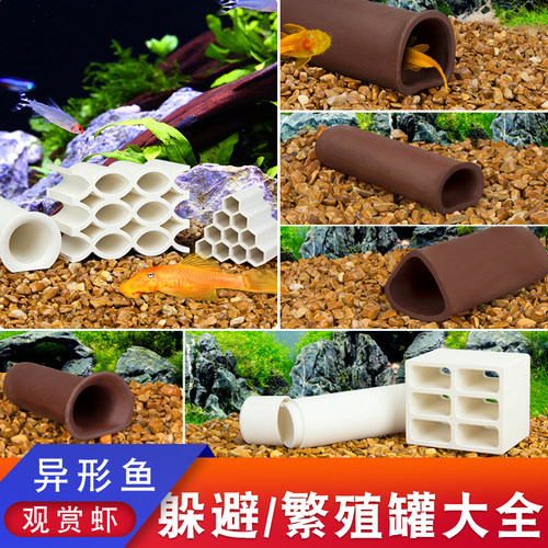 异形鱼繁殖罐黄金胡子鹦鹉鱼缸屋
