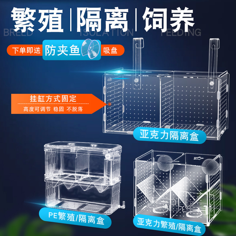 亚克力隔离盒繁殖盒送防夹鱼吸盘图片