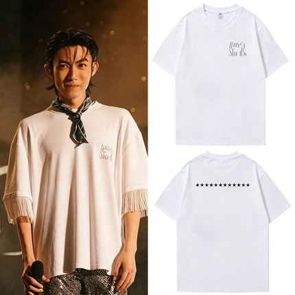 林宥嘉PERFECT STEWARDS超级管家演唱会同款周边短袖T恤应援衣服