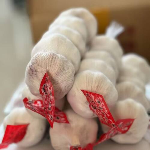 【精品网兜】当季山东金乡新干蒜头批发紫皮大蒜白皮干大蒜便宜