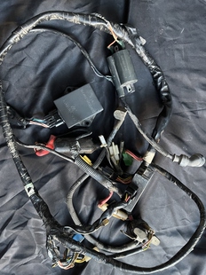 铃木gt125国三电路线路总成，点火器，继电器，整流器，高压包