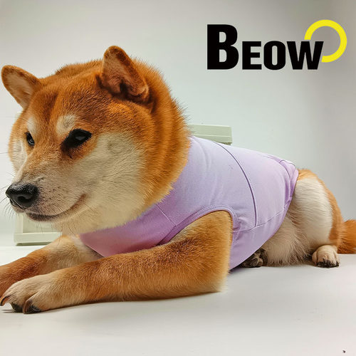 BEOW狗狗宠物凉感背心 棉感透气轻薄夜光小中大型全春夏秋史宾格