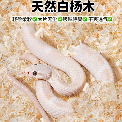 爬宠垫材宠物蛇白杨木刨花木屑柔软材蛇类饲养箱专用垫料除臭保湿