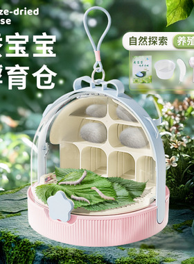 科学桑叶蚕宝宝养殖太空舱儿童昆虫观察盒学生套装养育蚕实验饲养