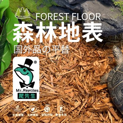 爬先生森林地表树皮垫材国外品平替陆龟蛇类鬃狮守宫昆虫甲虫蓝舌