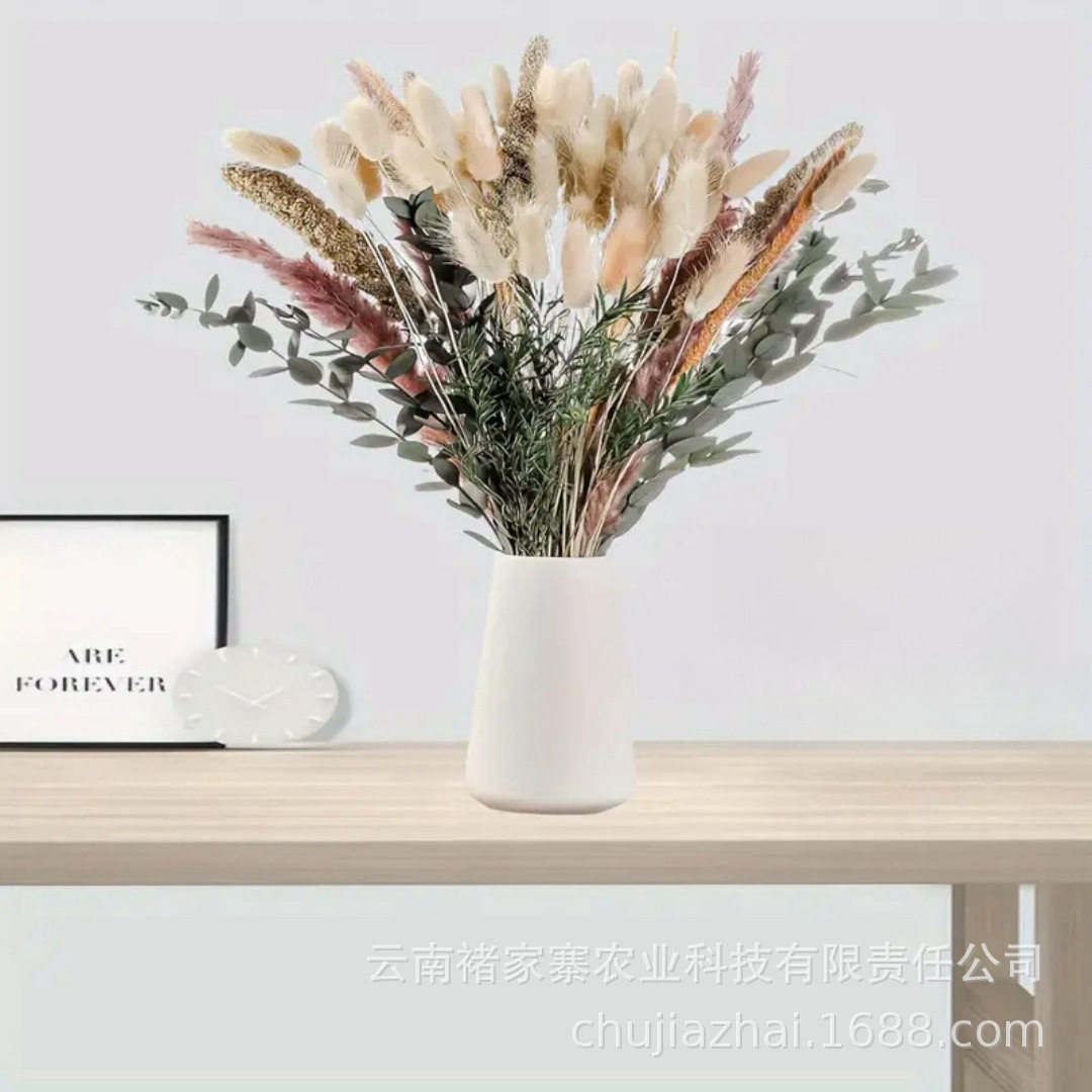 亚马逊潘帕斯草兔尾草小芦苇家居干花
