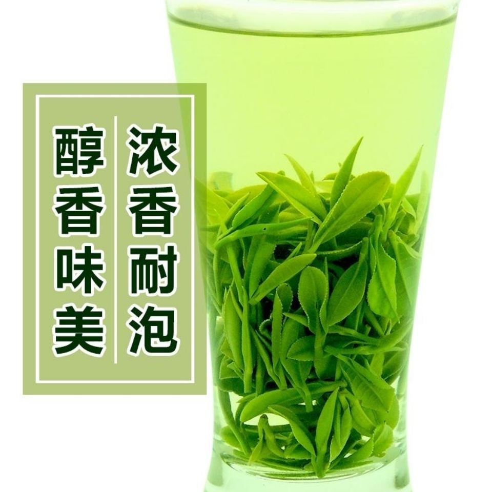 2024国乐信阳毛尖雨前头春芽叶浓香耐泡实惠口粮茶绿茶250g 茶 信阳毛尖 原图主图