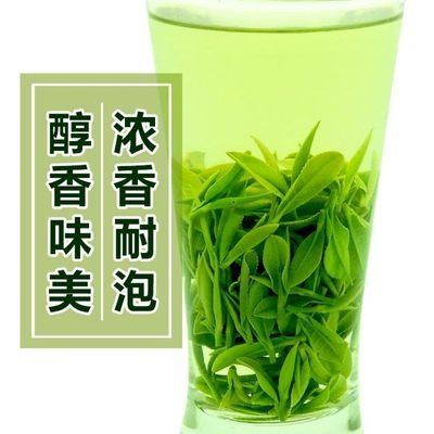 2024国乐信阳毛尖雨前头春芽叶浓香耐泡实惠口粮茶绿茶250g