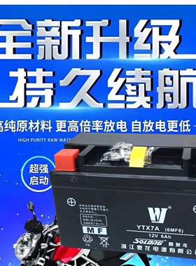 适用豪爵VF UCR100 VH VR USR125 VR150摩托车电瓶免维护蓄电池