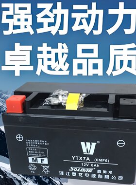豪爵踏板摩托车电瓶蓄电池免维护
