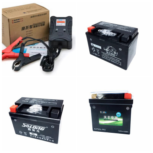 适用豪爵铃木GSX DL GW250 DR XCR TR300 UHR150电瓶蓄电池充电器