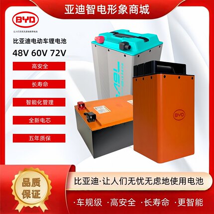 BYD比亚迪48V 60V 72V两轮三轮四轮电动车电池磷酸铁锂电池长续航