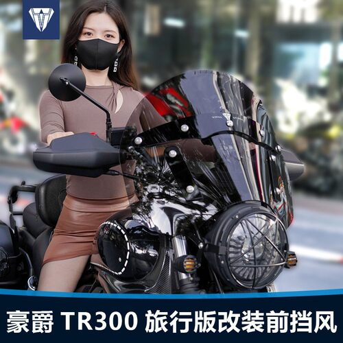 旅行版豪爵TR300改装前挡
