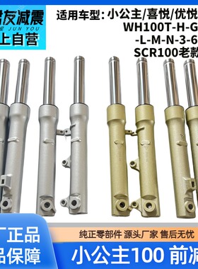 适用五羊本田WH100T-HFG10小公主优悦喜悦SCR100前减震器避震前叉