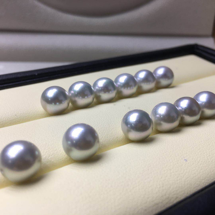 海水珍珠顆粒akoya8-9m
