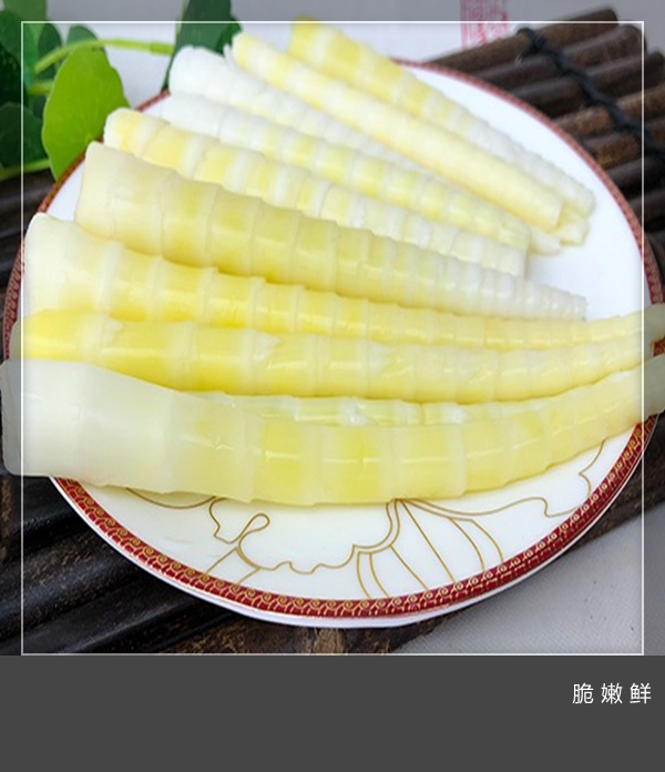 方竹笋重庆火锅食材笋尖笋片新鲜南川渝南金佛山整箱开店通用特价