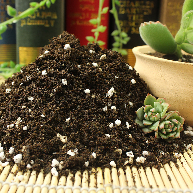 营养土多肉土种植土泥炭土大包花土通用养花土盆栽土肥料有机土壤