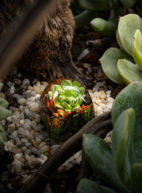 【ZD】客制化机械键盘 Dwarf Factory Gaea’s Crown多肉树脂键帽