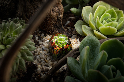 客制化多肉树脂键帽机械键盘