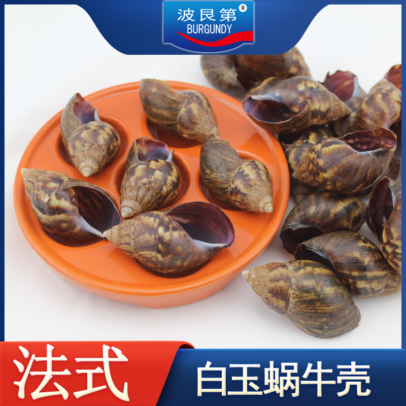 贝壳白玉蜗牛壳蜗牛壳