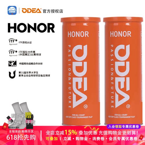 欧帝尔网球HONOR高弹耐打气压足