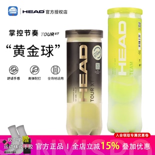 HEAD海德 Penn训练戴维斯杯比赛黄金网球XT TOUR专业耐磨DAVIS