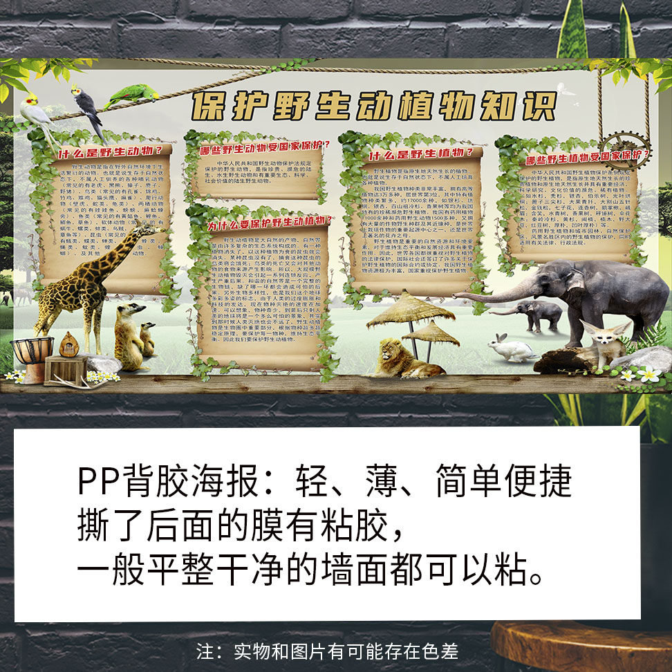 保护关爱野生动植物生物多样性知识海报学校社区科普宣传pp背胶画