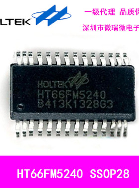 HT66FM5240  28SSOP