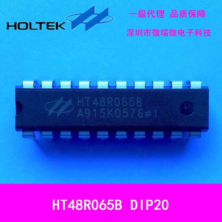 台湾合泰HT48R065B  DIP20单片机全新原装