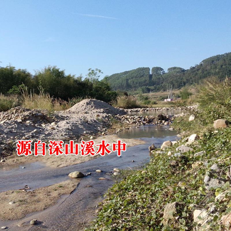 天然原溪水石假山造景龟池绿化用
