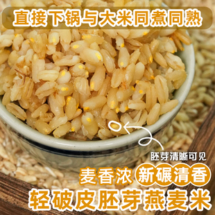 全胚芽燕麦米当季新米燕麦胚芽米生莜麦五谷杂粮粗粮低脂轻食