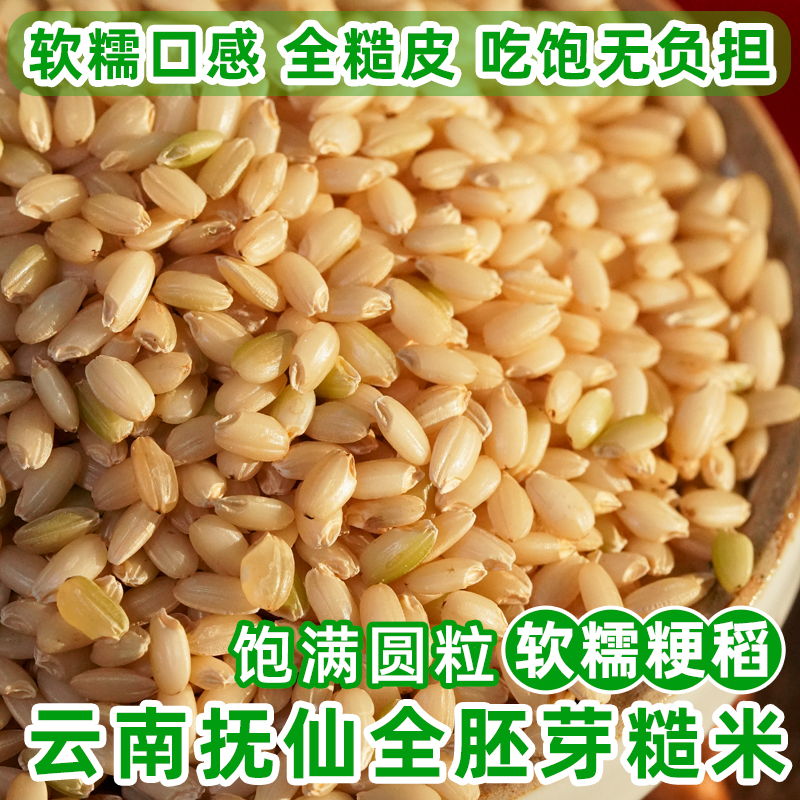 云南云粳37糙米全皮老品种粳米糙米不抛光全胚芽大米24年新米5斤