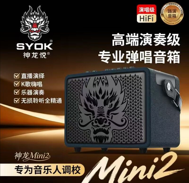 神龙mini2代音响二代音箱 乐器260瓦唱歌音响无线内录直播音箱