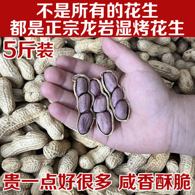 【今年新货】正宗龙岩湿烤红衣花生蒜香味福建花生带壳咸香脆零食