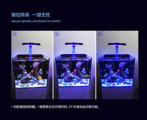 迈光小型海缸灯静音低能耗新手藻缸灯鱼缸照明灯珊瑚养殖灯全光谱
