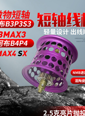 阿布b3p3s3p4b4水滴轮改装短轴微物线杯BMAX4/PMAX4桥丹李浅线杯