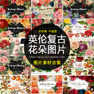(R031)800张免抠PNG图片英伦复古玫瑰月季花朵背景插画PS设计素材