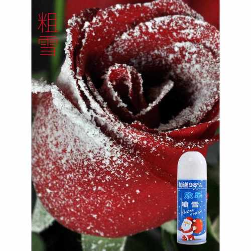 圣诞雪喷雪假道具玻璃雪花玫花粗BKT喷雪喷雪瑰花白色喷雪花鲜花