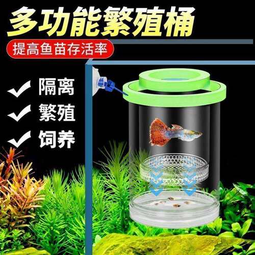 孔雀鱼鱼缸繁殖新款隔离悬浮幼鱼产房母鱼鱼苗悬浮式漂繁殖孵化器