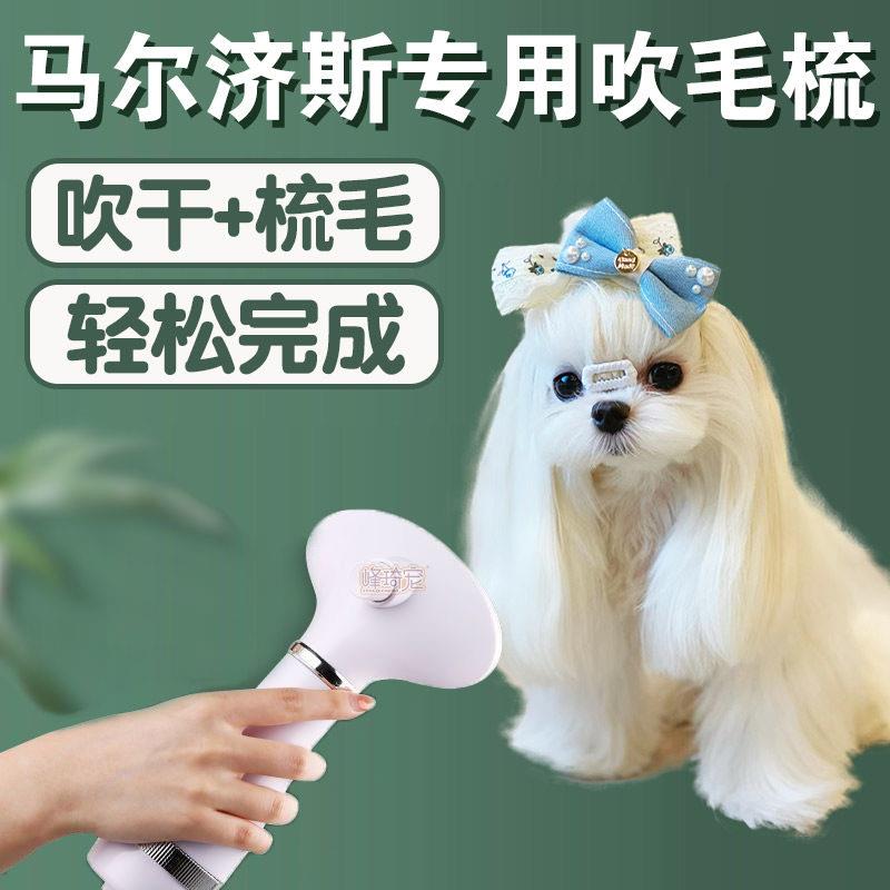 马尔济斯专用梳子梳毛神器专业静音吹风机拉毛All狗狗护理用品