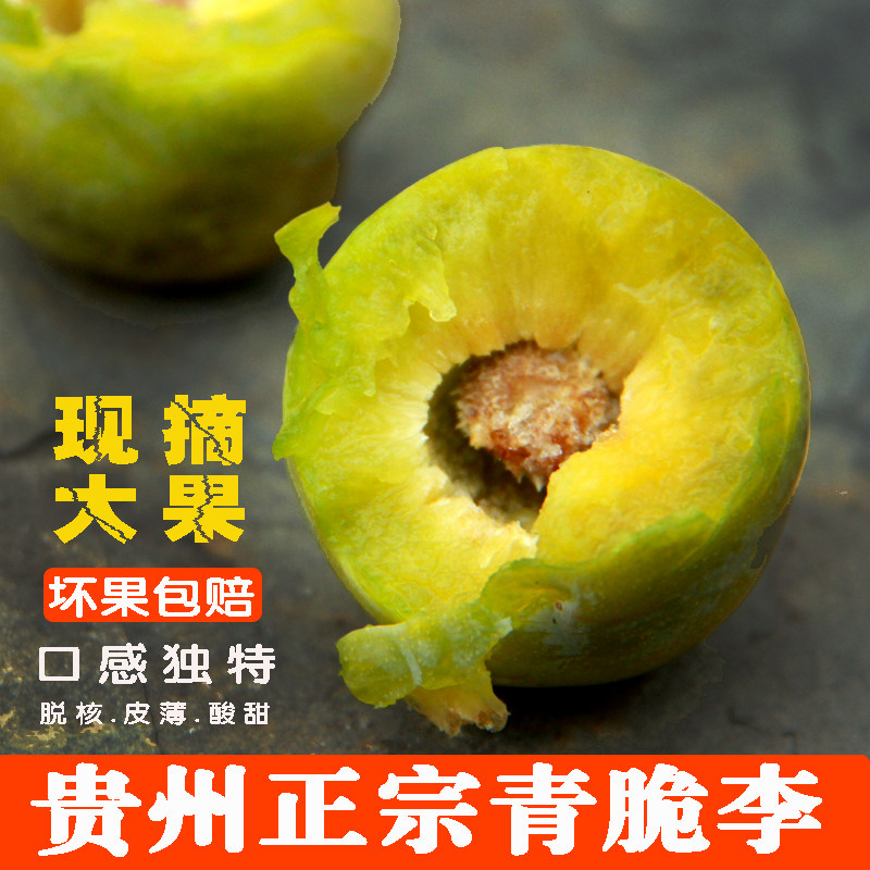 贵州土李子青脆李空心脱骨李冰脆李当季孕妇新鲜水果冰脆李酸甜