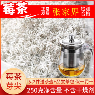 莓茶张家界龙须芽尖野生藤茶特级湖南永顺梅茶土家霉茶官方旗舰店