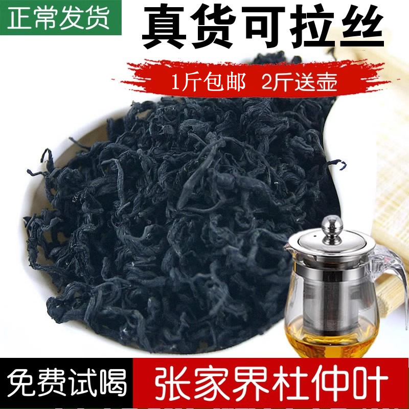 新茶张家界野生杜仲叶正品湖南特产杜仲嫩叶湘西杜仲男女养生500g