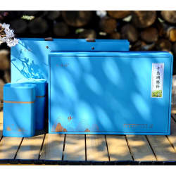 千岛湖毛尖2025新茶千岛银针雀舌绿茶叶春茶玉叶半斤礼盒鸠坑毛峰