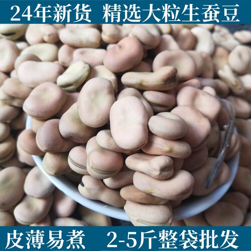 2-5斤 特惠农家新货中粒生蚕豆绿胡豆干可做种可发芽做油炸罗汉豆